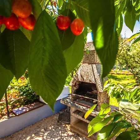 With A Parking Space - 13910 アパート *