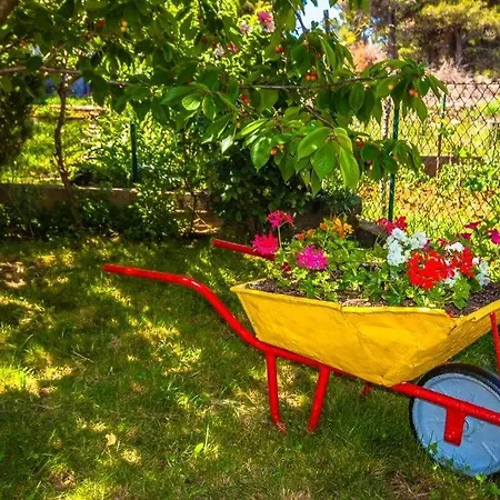 With A Parking Space - 13910 Apartman Zadar